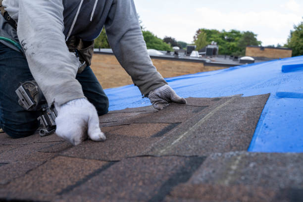 Best Roof Leak Repair  in Benton, IL