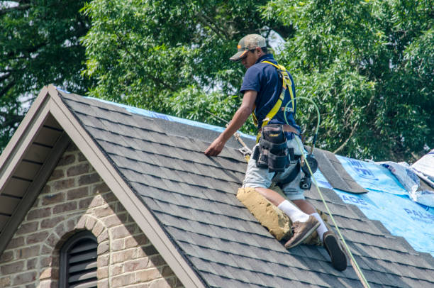 Best Metal Roofing Contractor  in Benton, IL